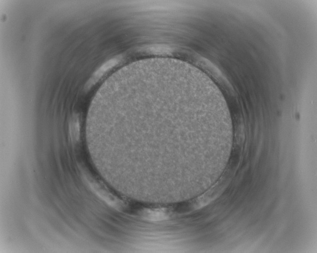 X0000085250120200704092059