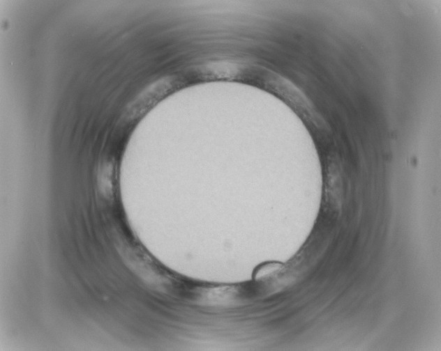 X0000085250122200704092059