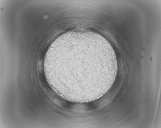 X0000085250123200704092059