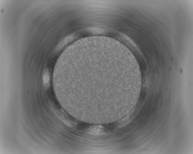 X0000085250124200704092059