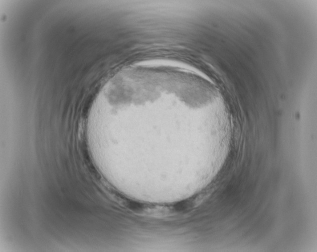 X0000085250125200704092059