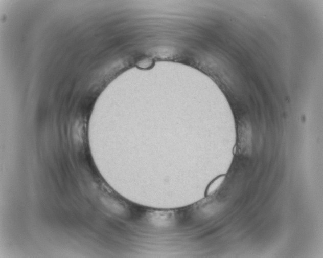 X0000085250126200704092058