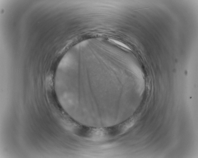 X0000085250127200704092058