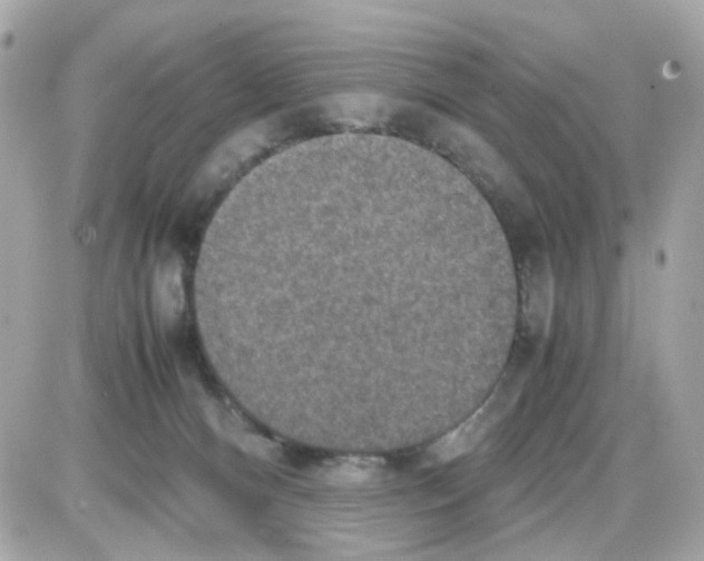 X0000085250128200704092058