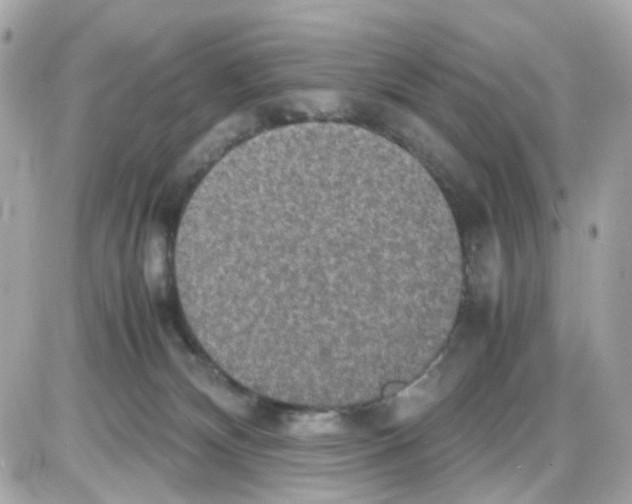 X0000085250132200704092058