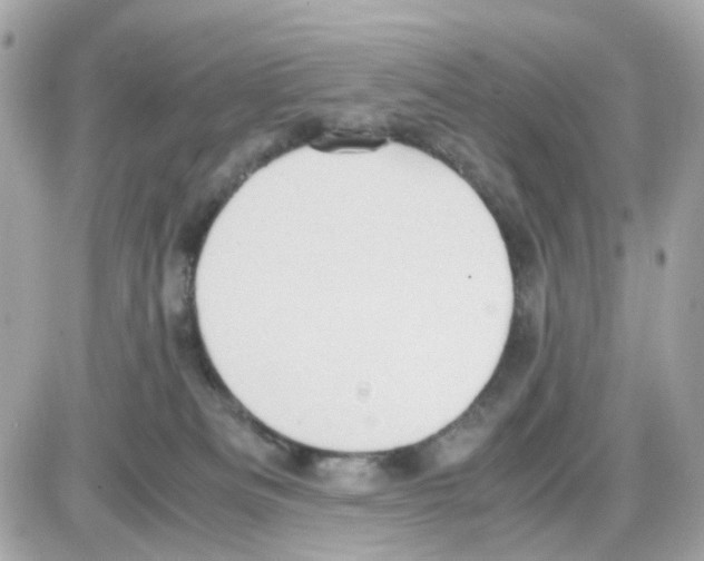 X0000085250133200704092058