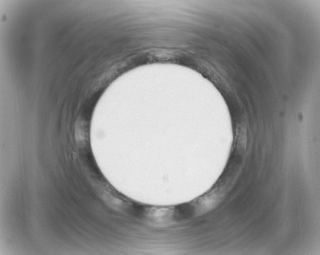 X0000085250135200704092058