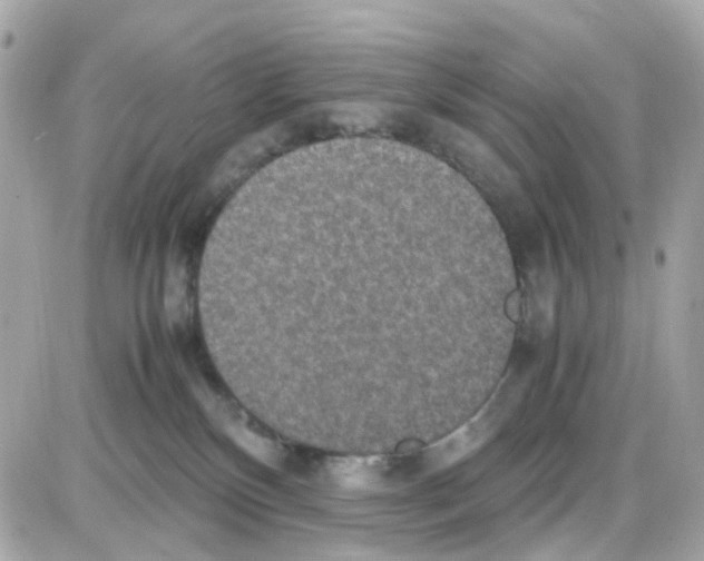 X0000085250136200704092058