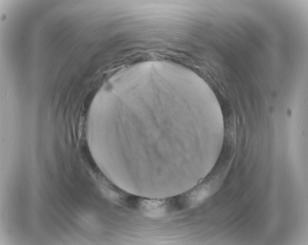 X0000085250139200704092058