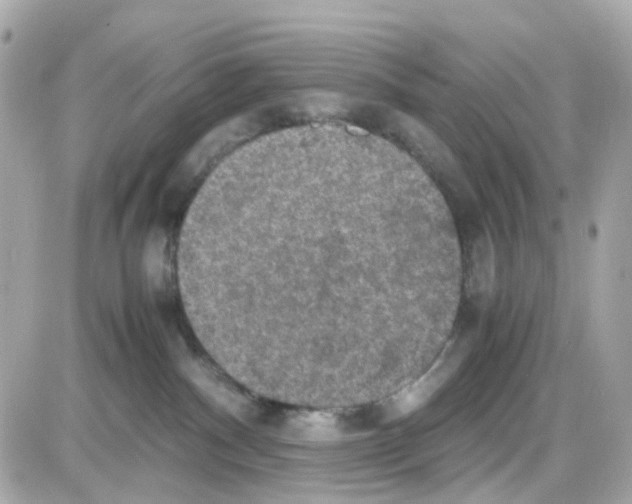 X0000085250140200704092058