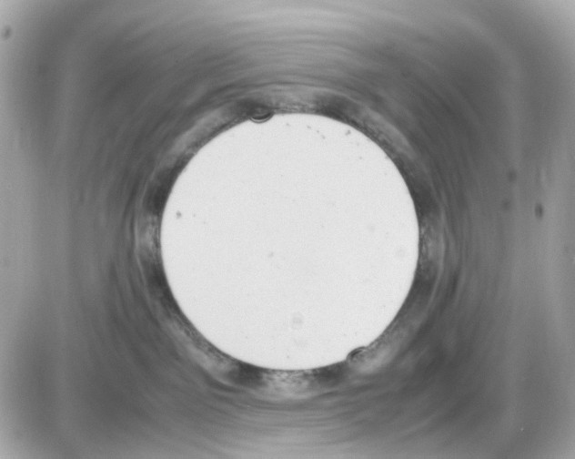 X0000085250141200704092058