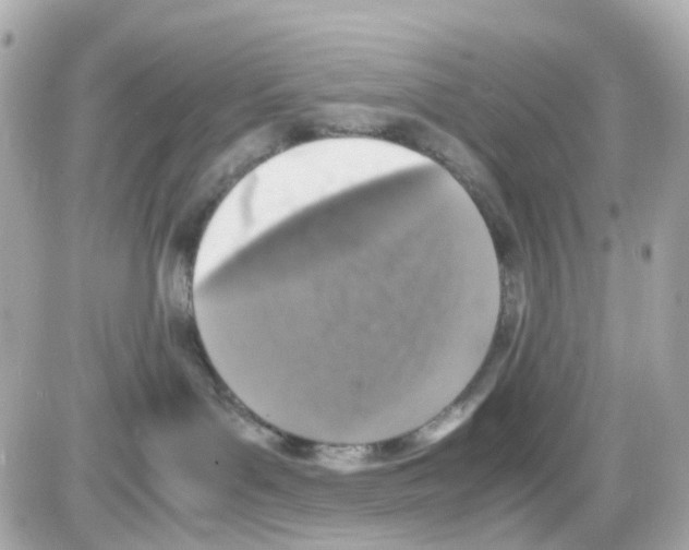 X0000085250143200704092058