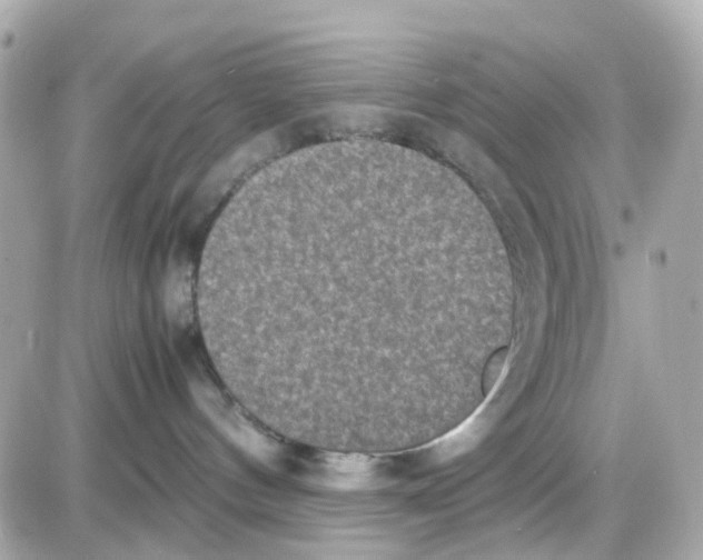 X0000085250144200704092058