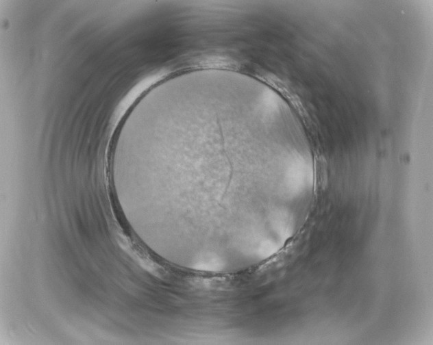 X0000085250147200704092057