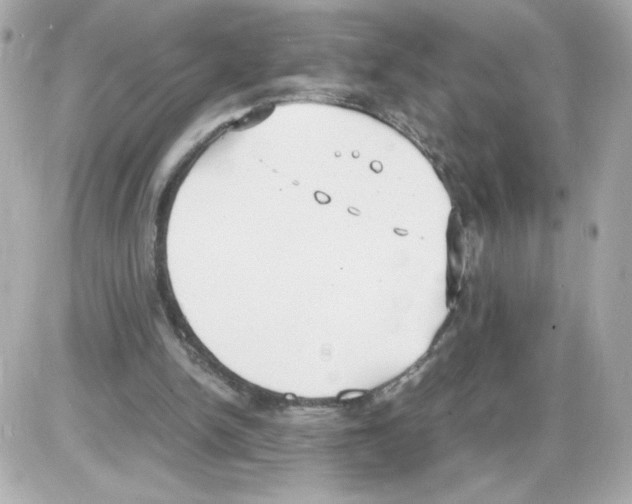 X0000085250150200704092057