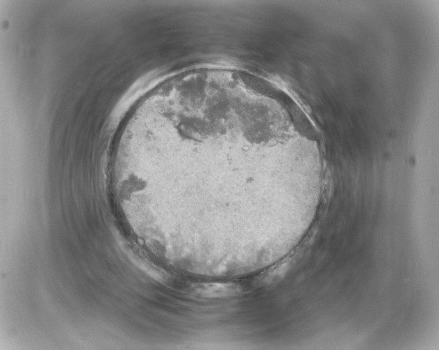 X0000085250151200704092058