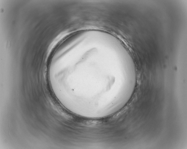 X0000085250152200704092058