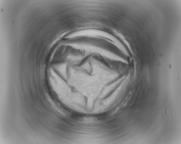 X0000085250154200704092058