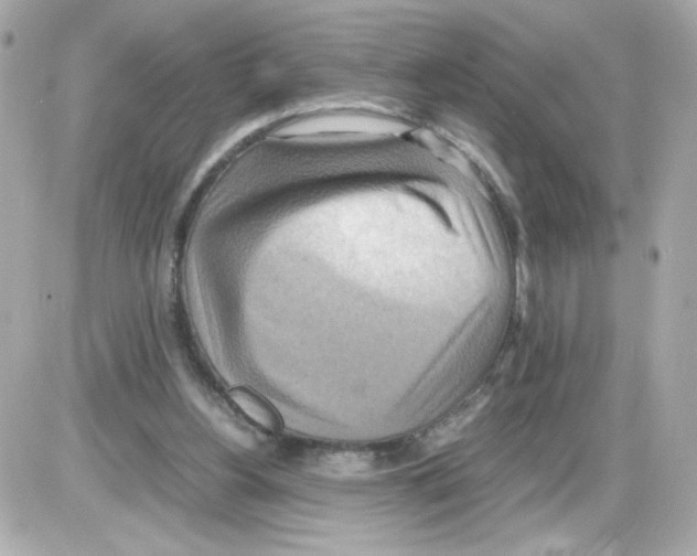 X0000085250156200704092058