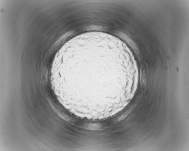 X0000085250157200704092058