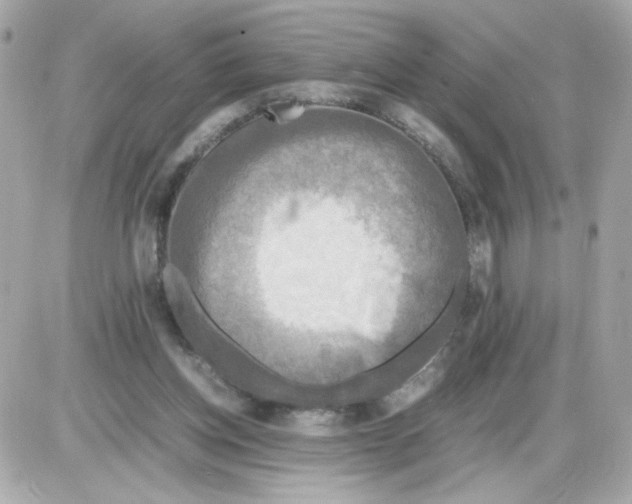 X0000085250158200704092058