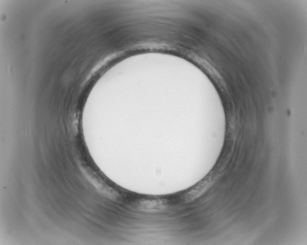 X0000085250160200704092058