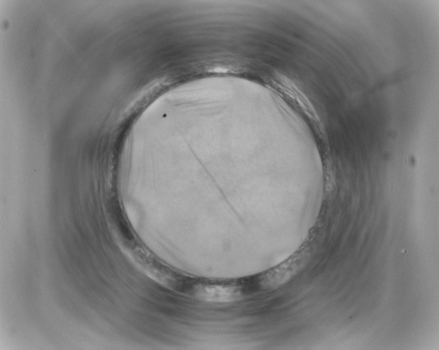 X0000085250163200704092058