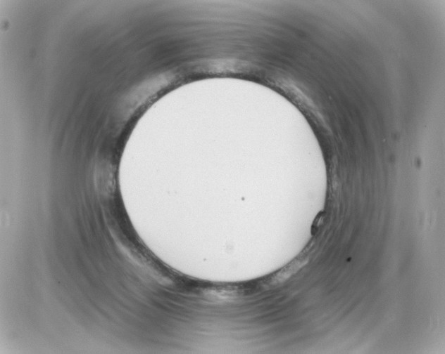 X0000085250164200704092058