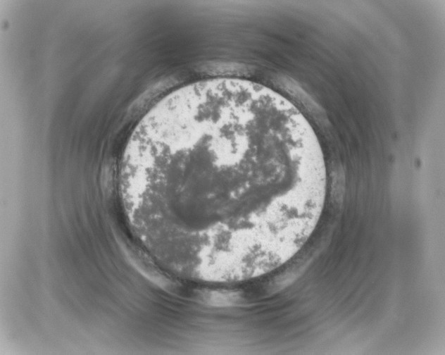 X0000085250165200704092058