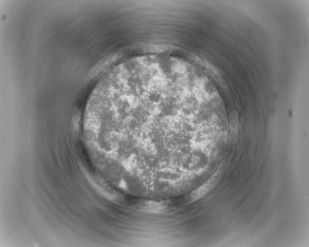 X0000085250166200704092058