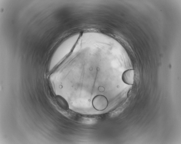 X0000085250167200704092058