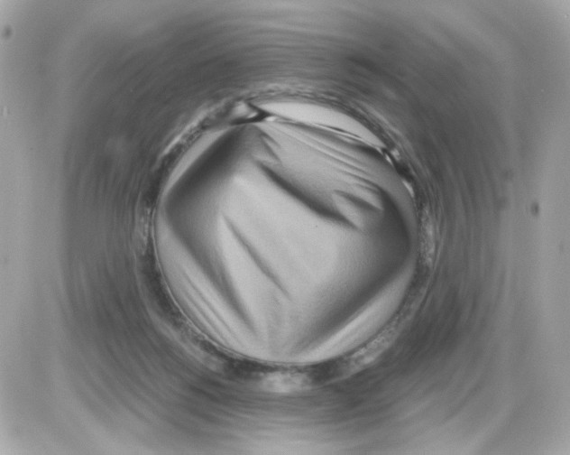 X0000085250168200704092058