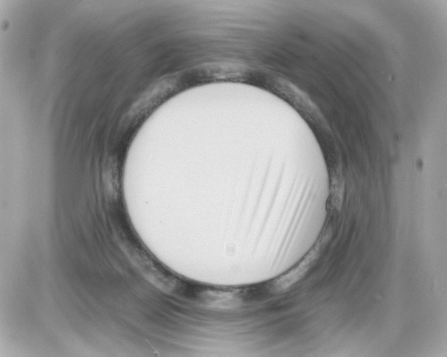 X0000085250170200704092058