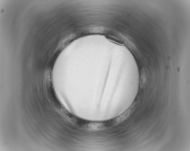 X0000085250172200704092058