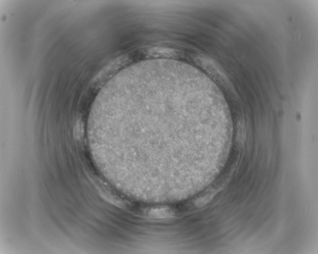 X0000085250173200704092058