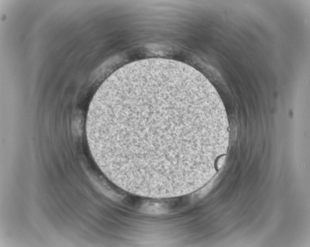 X0000085250174200704092058