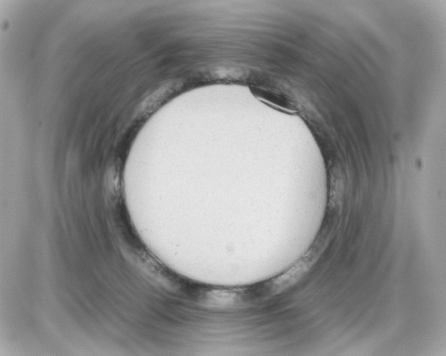 X0000085250176200704092058