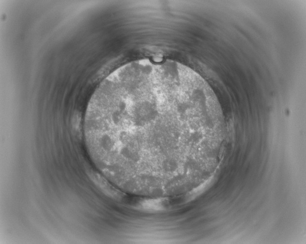 X0000085250178200704092058