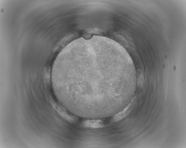 X0000085250179200704092058