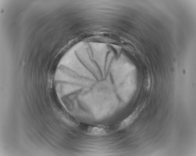 X0000085250180200704092058