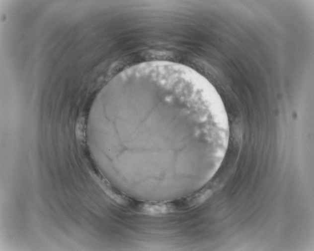 X0000085250181200704092058