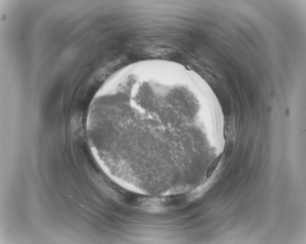 X0000085250182200704092058