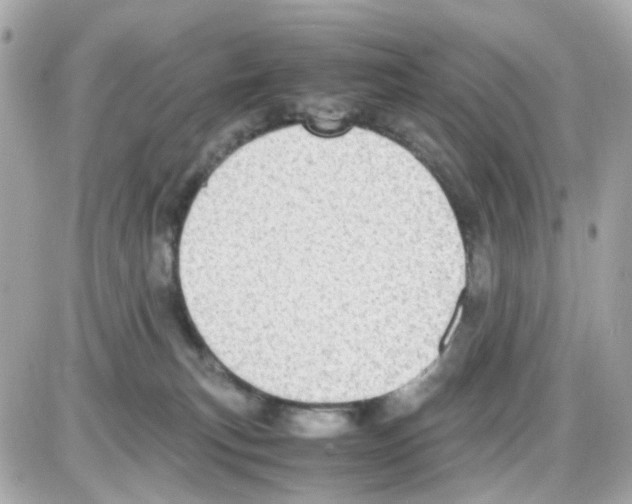 X0000085250183200704092058