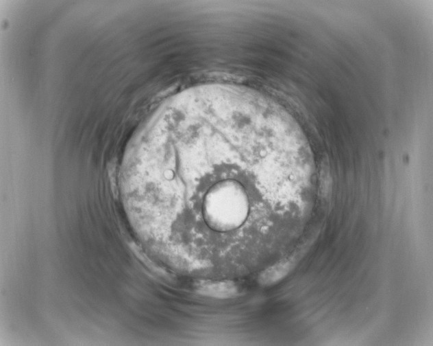 X0000085250185200704092058