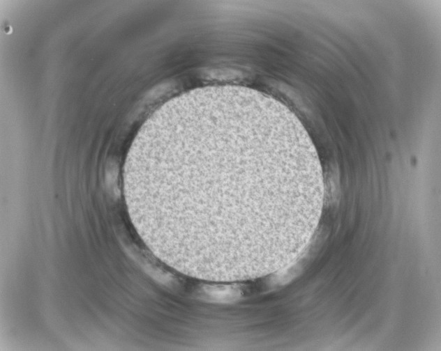 X0000085250187200704092058