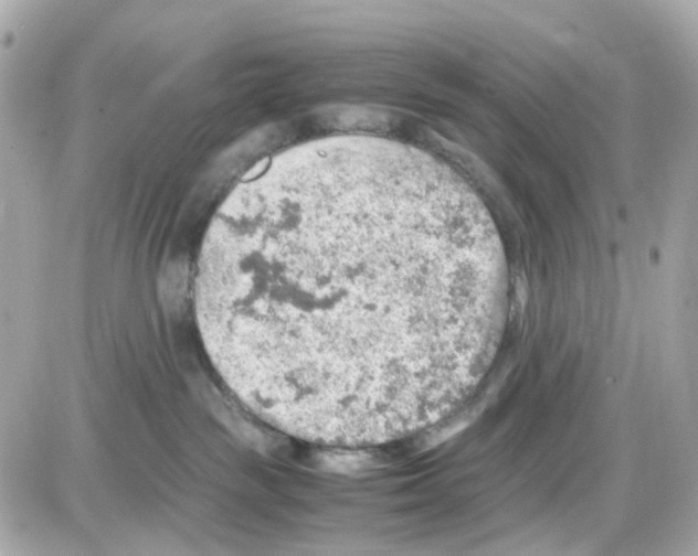 X0000085250189200704092058