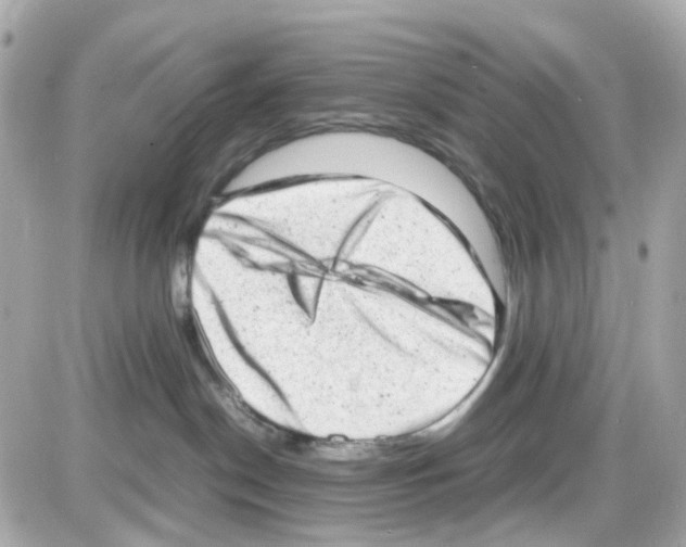 X0000085250190200704092058