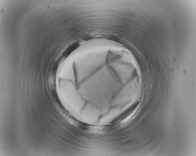 X0000085250192200704092058