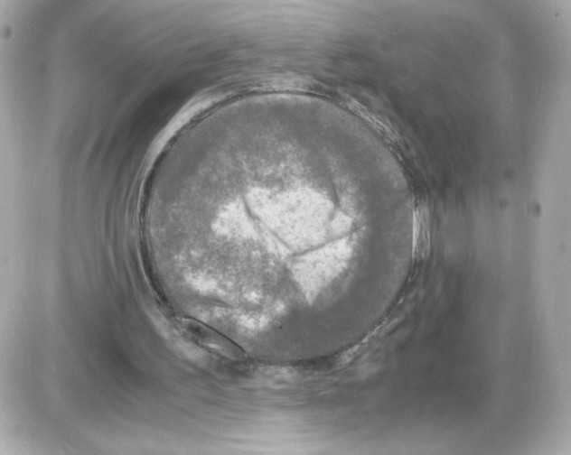 X0000085250195200704092057