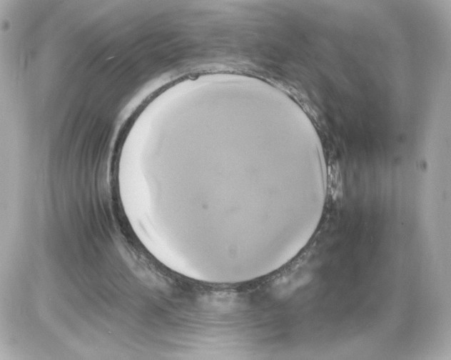 X0000085250196200704092057